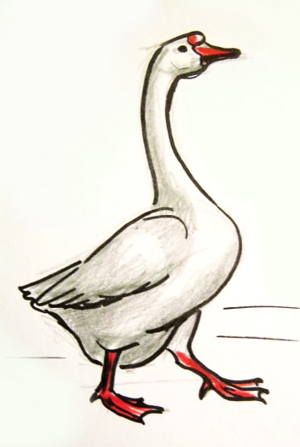 Goose Drawing at PaintingValley.com | Explore collection of Goose Drawing