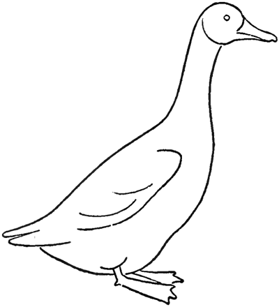 400x440 drawing a goose how to draw geese step - Goose Drawing