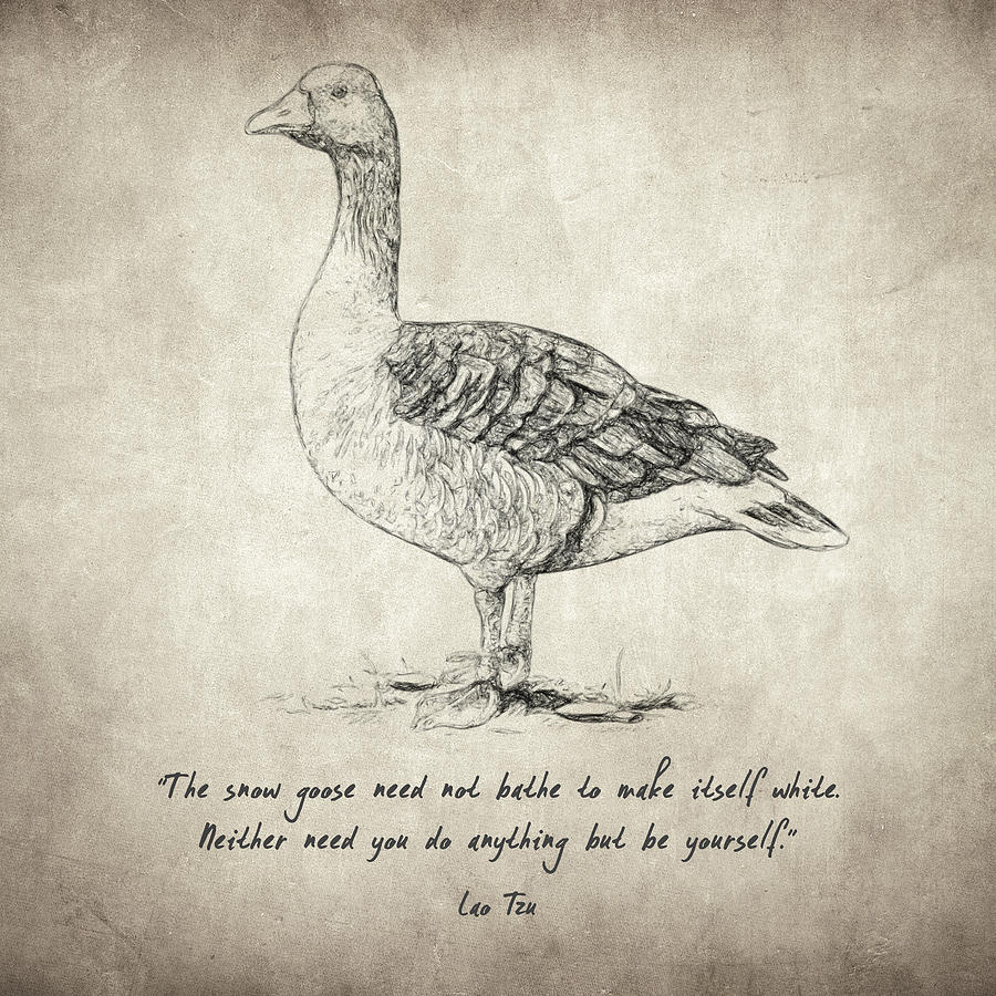 900x900 goose quote - Goose Drawing