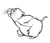 173x150 gopher from winnie the pooh because he is my favorite pooh - Gopher Drawing