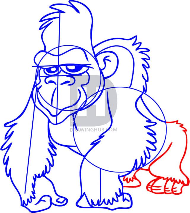 641x720 how to draw a gorilla, cartoon gorilla, step - Gorilla Cartoon Drawing