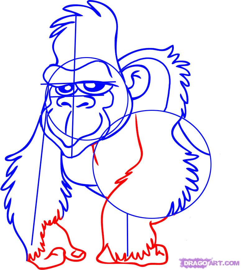 775x870 how to draw a gorilla, cartoon gorilla, step - Gorilla Cartoon Drawing