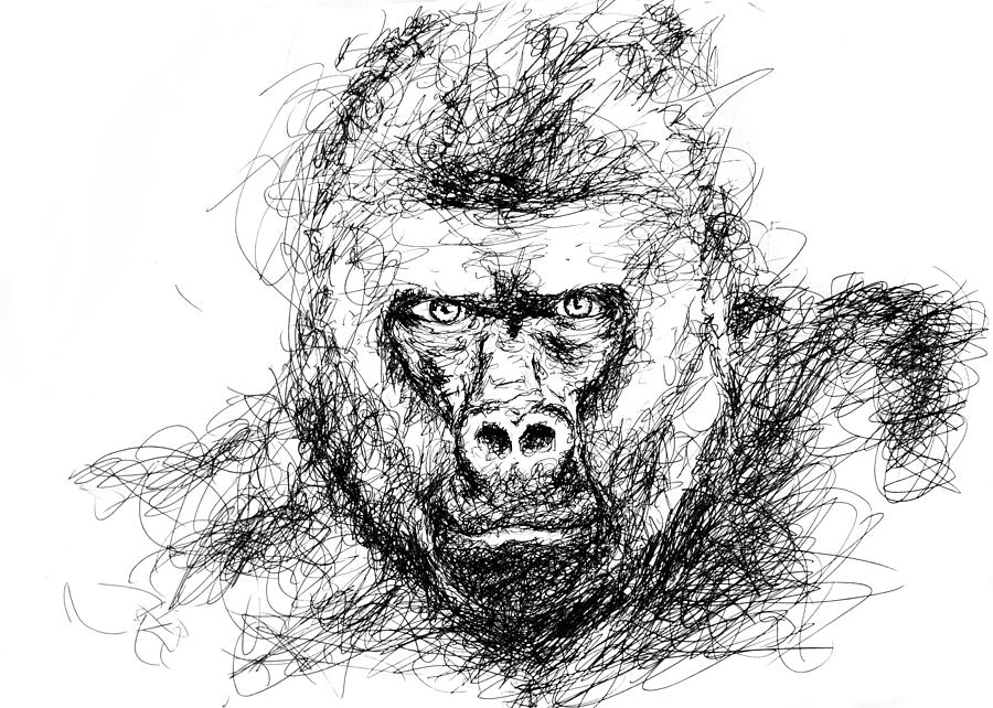 900x642 Gorilla Drawing - Gorilla Drawing