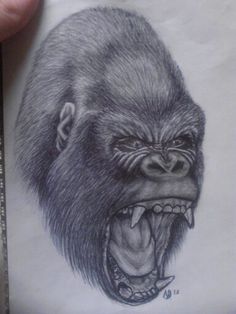 236x314 Best Gorilla Images Art Drawings, Monkeys, Draw - Gorilla Drawing
