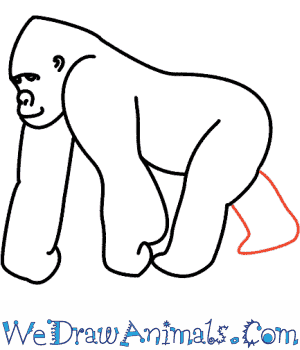 300x350 How To Draw A Gorilla - Gorilla Drawing