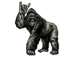 270x210 Need A Good Creation Drawing Gorilla Freelancer - Gorilla Drawing