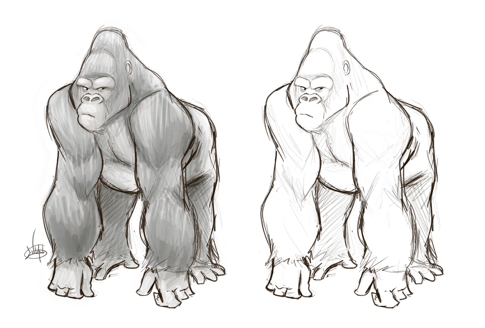 1600x1084 Gorilla Drawing Basic For Free Download - Gorilla Drawing