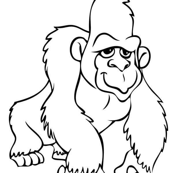 600x600 Gorilla Coloring Pages Coloring Page - Gorilla Drawing For Kids
