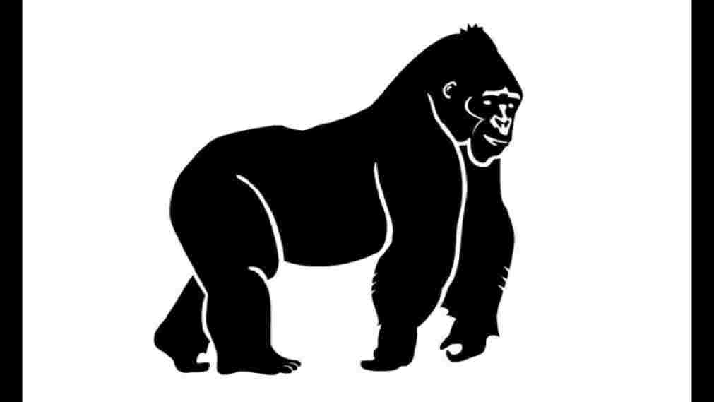 1011x569 Art For Kids Hub Rhartforkidshubcom Youtuberhyoutubecom How - Gorilla Drawing For Kids