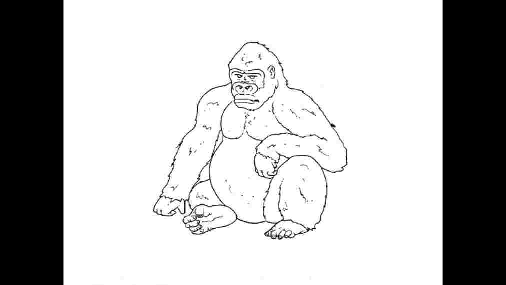 1011x569 How Gorilla Drawing For Kids To Draw A Cartoon Gorilla - Gorilla Drawing For Kids
