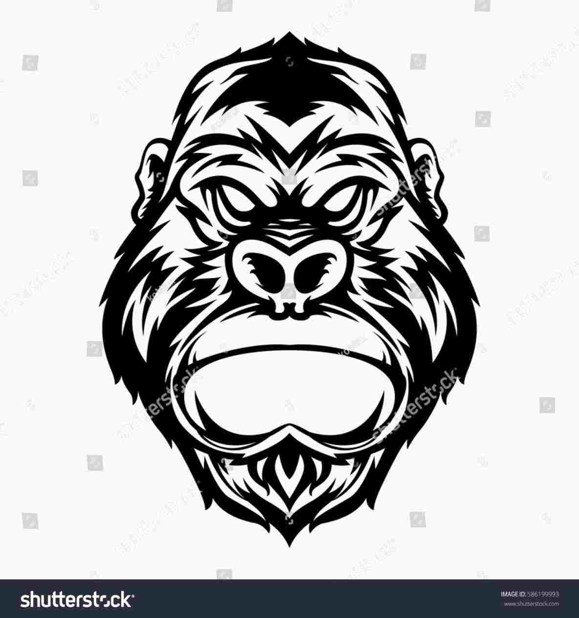 1185x1264 Face Drawing Face Drawing Stock Vector Royalty Free - Gorilla Face Drawing