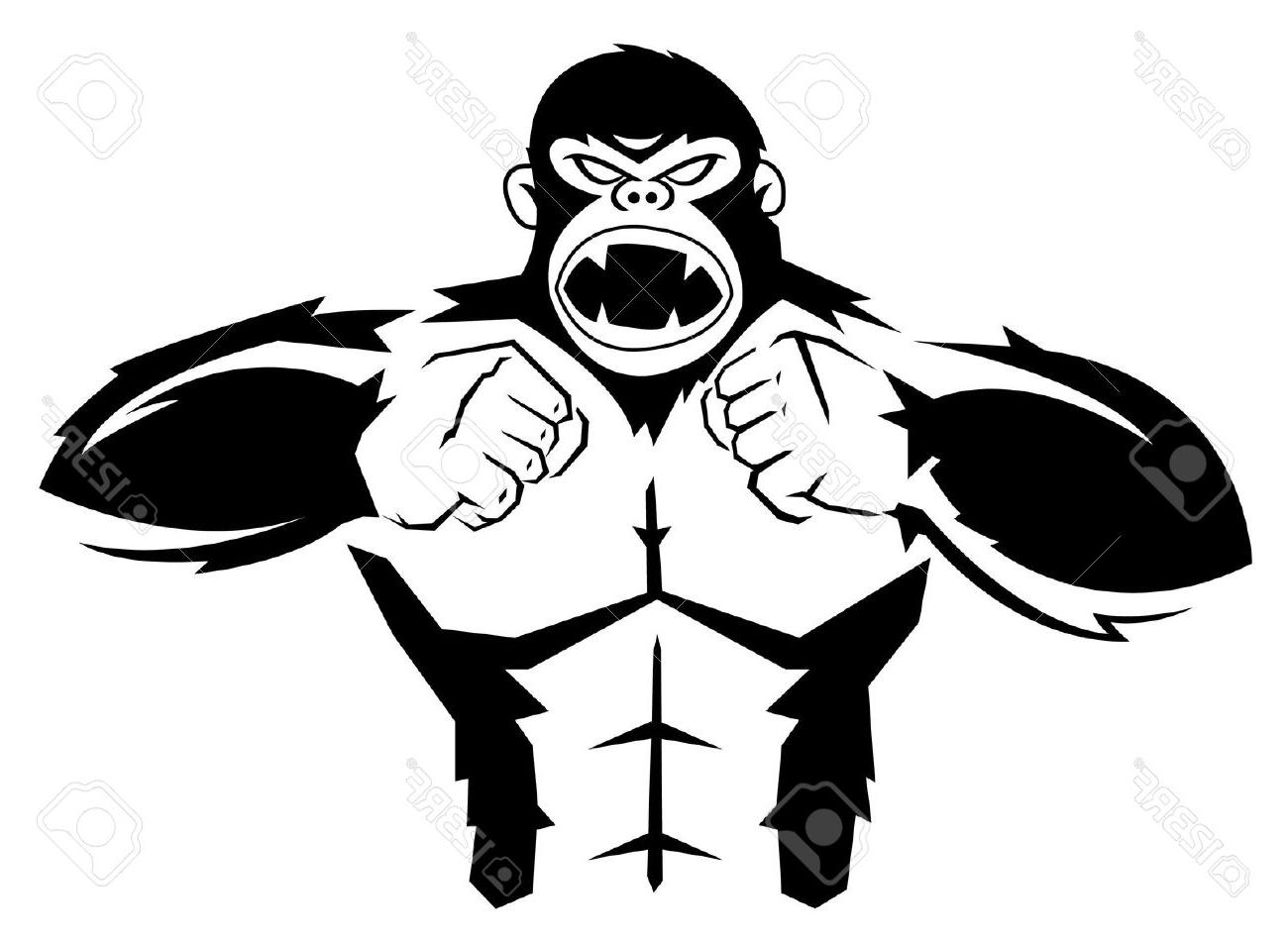 1300x952 Gorilla Face Drawing - Gorilla Face Drawing