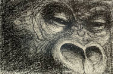375x246 Face Of Gorilla Drawing - Gorilla Face Drawing