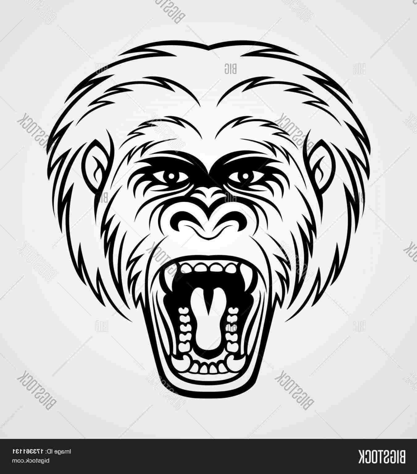 gorilla drawing face