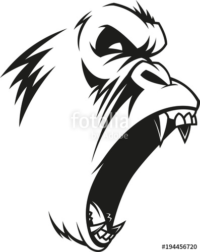 397x500 ferocious gorilla head stock image and royalty free vector - Gorilla Head Drawing