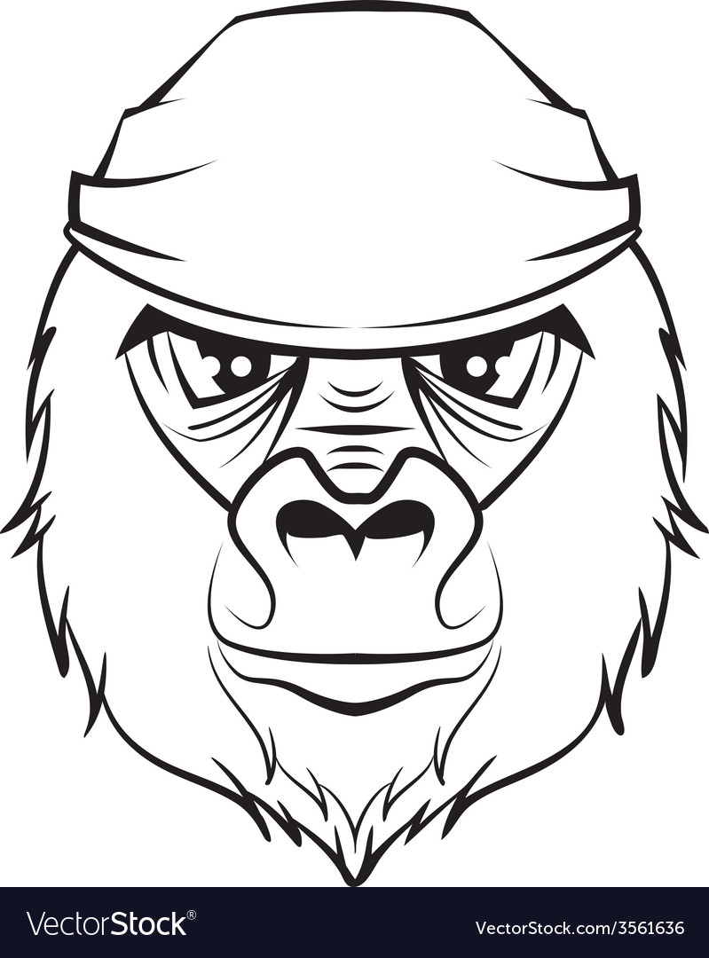 799x1080 Gorilla Drawing - Gorilla Head Drawing
