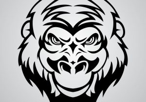 300x210 Gorilla Head Drawing - Gorilla Head Drawing