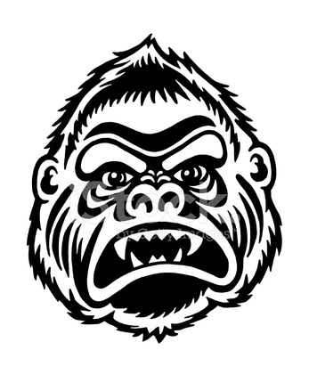 347x439 Gorilla Head Drawing - Gorilla Head Drawing