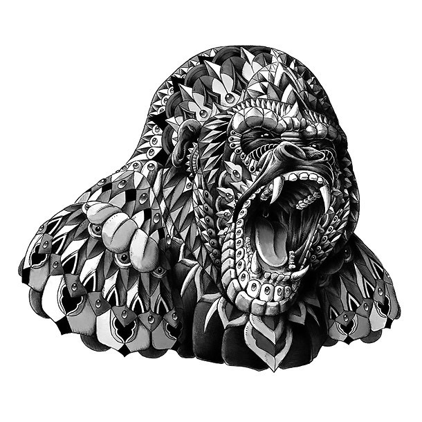 610x610 roaring gorilla on gorilla head drawing at com free for personal - Gorilla Head Drawing