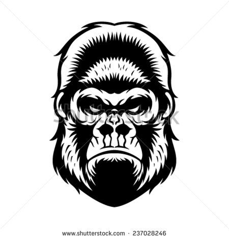 450x470 Gorilla Head Vector Graphic Illustration Black And White Stock - Gorilla Head Drawing