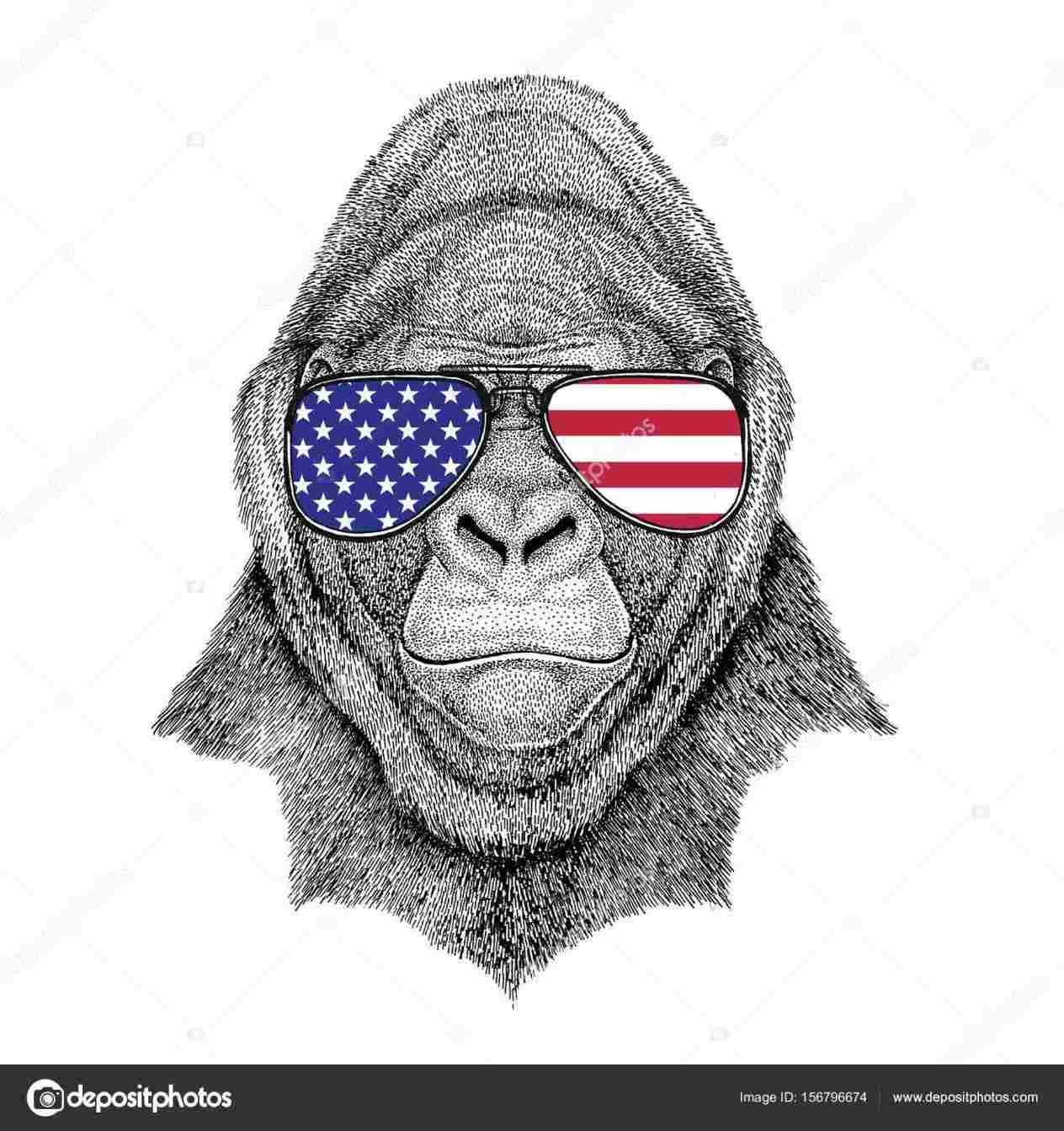 1264x1343 Rhshopatclothcom Collection Of Free Drawing Download - Gorilla Head Drawing