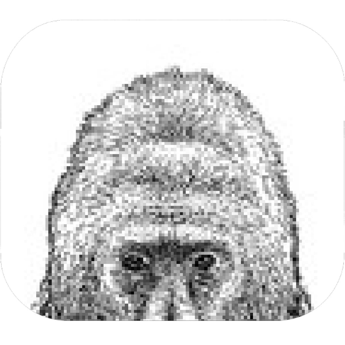 1200x1200 Designs Mein Mousepad Design Mousepad Selbst Designen - Gorilla Head Drawing
