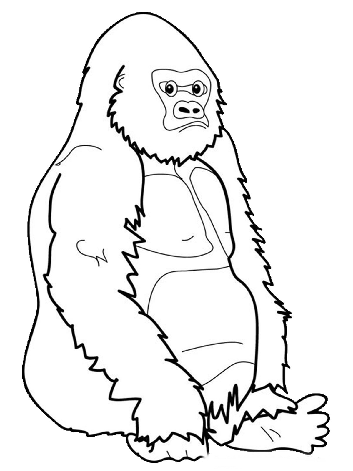 mountain gorilla drawing