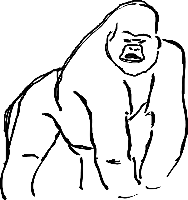 602x640 Gorilla Clipart Line For Free Download And Use In Presentations - Gorilla Line Drawing