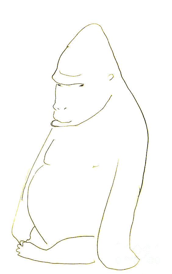 564x900 Line Drawing Of A Western Gorilla Drawing - Gorilla Line Drawing