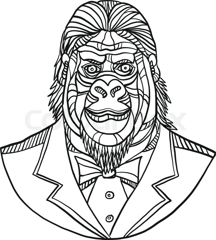 719x800 Mono Line Illustration Of Bust Of A Stock Vector Colourbox - Gorilla Line Drawing