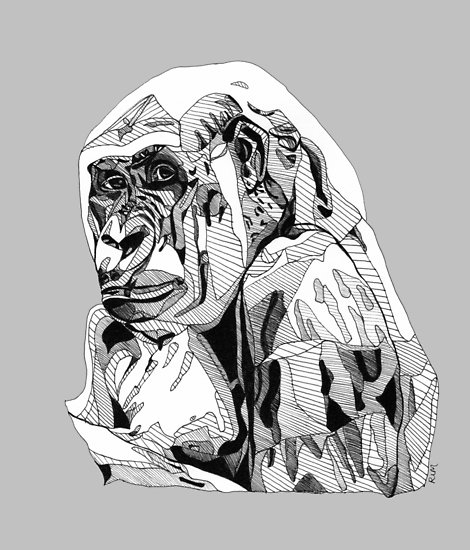 470x550 Gorilla Black Tonal Fineliner Drawing Posters - Gorilla Line Drawing