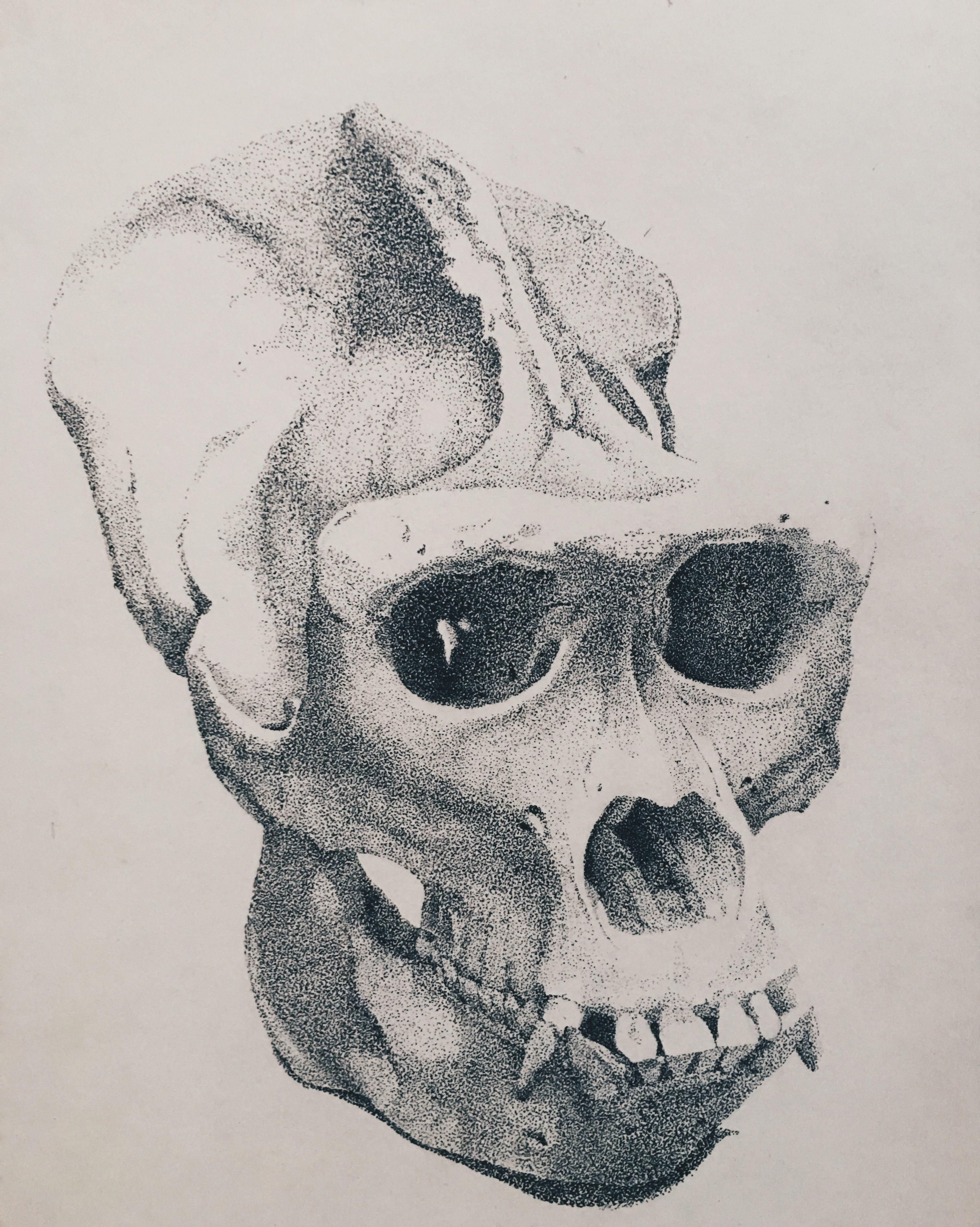 3024x3785 Gorilla Skull Ink On Bristol X Boas And Friends Art - Gorilla Skull Drawing