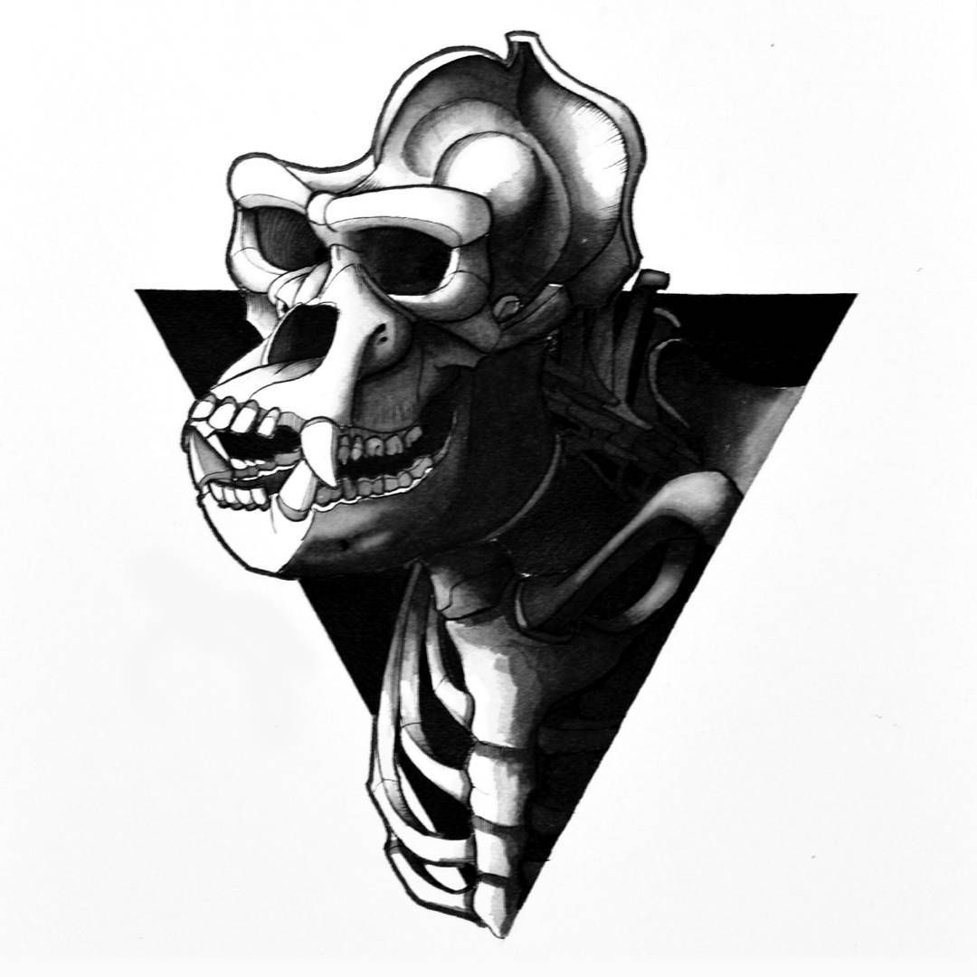Gorilla Skull Drawing at Explore collection of