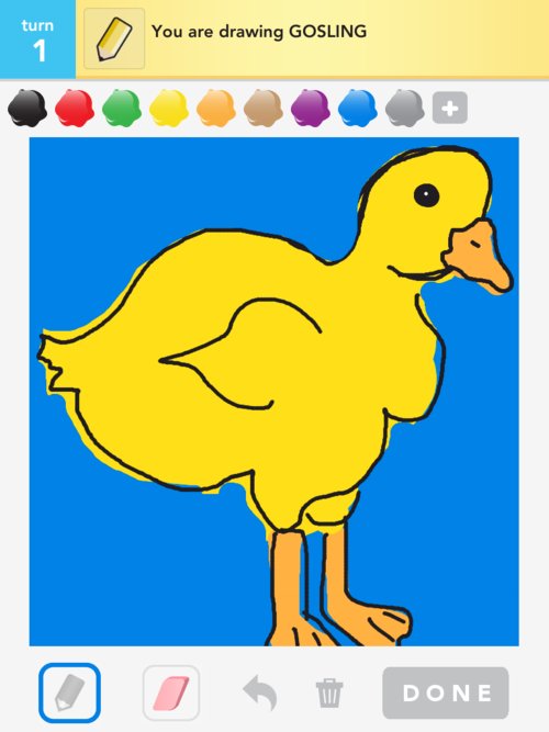 500x667 Gosling Drawings - Gosling Drawing