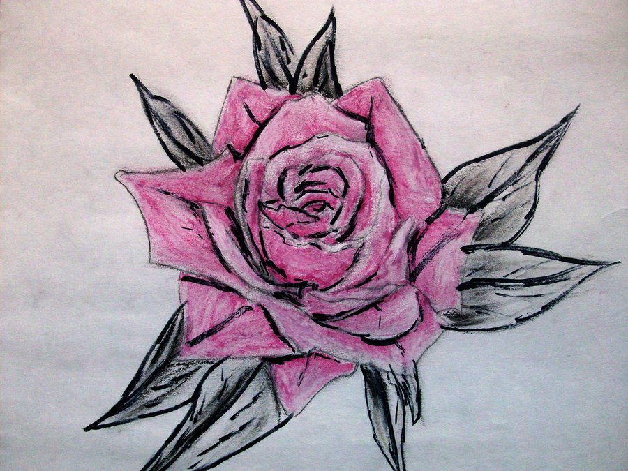 900x675 Gothic Rose Drawing Pic Drawing Skill - Gothic Rose Drawing