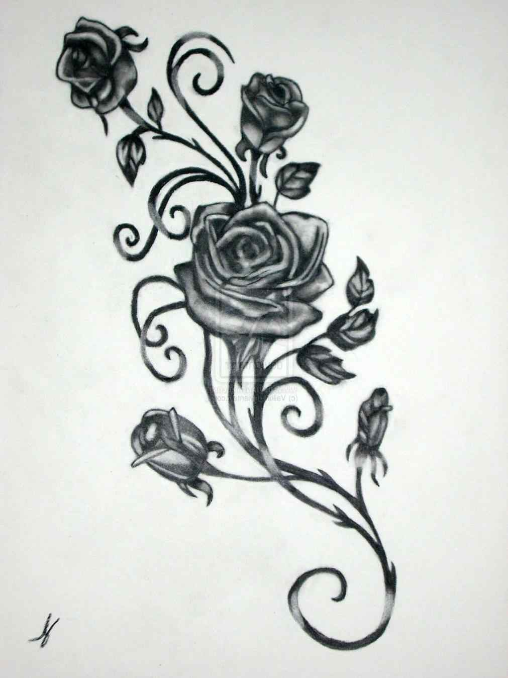 Gothic Rose Drawing at Explore collection of