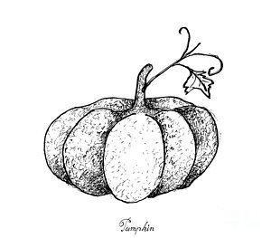 300x263 gourd drawings - Gourd Drawing