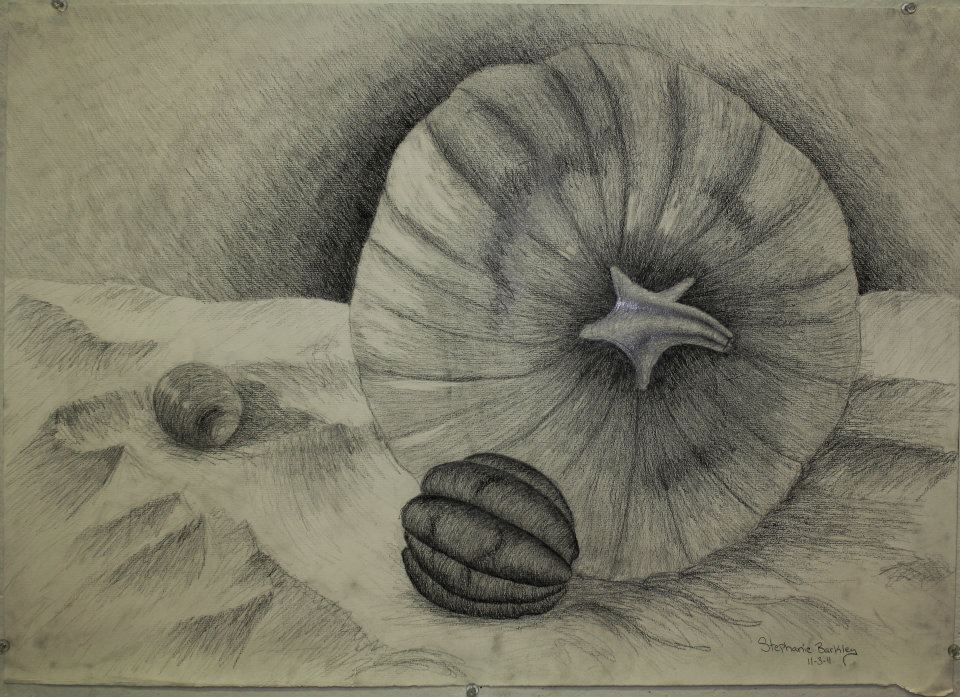 960x697 pumpkin and gourd drawing sbarkley foundmyself - Gourd Drawing