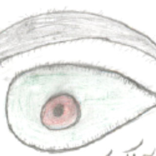 320x320 drawing of healthy eyes - Government Drawing