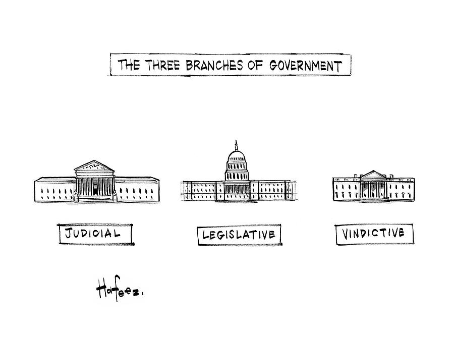 900x672 the three branches of government drawing - Government Drawing