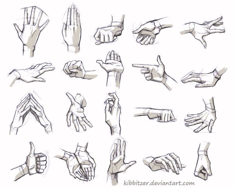 800x645 Grab Some Paper And Draw Some Hands Anatomy Reference Drawings - Grab Drawing