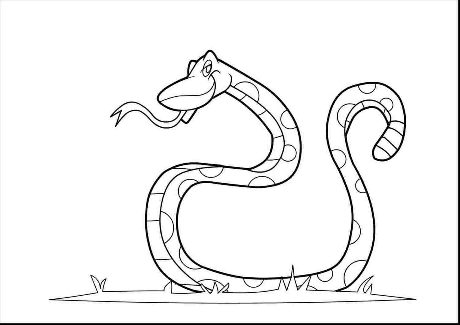 1501x1062 Grab Paper And Marker Rhcom Drawing Simple Snake Drawing - Grab Drawing