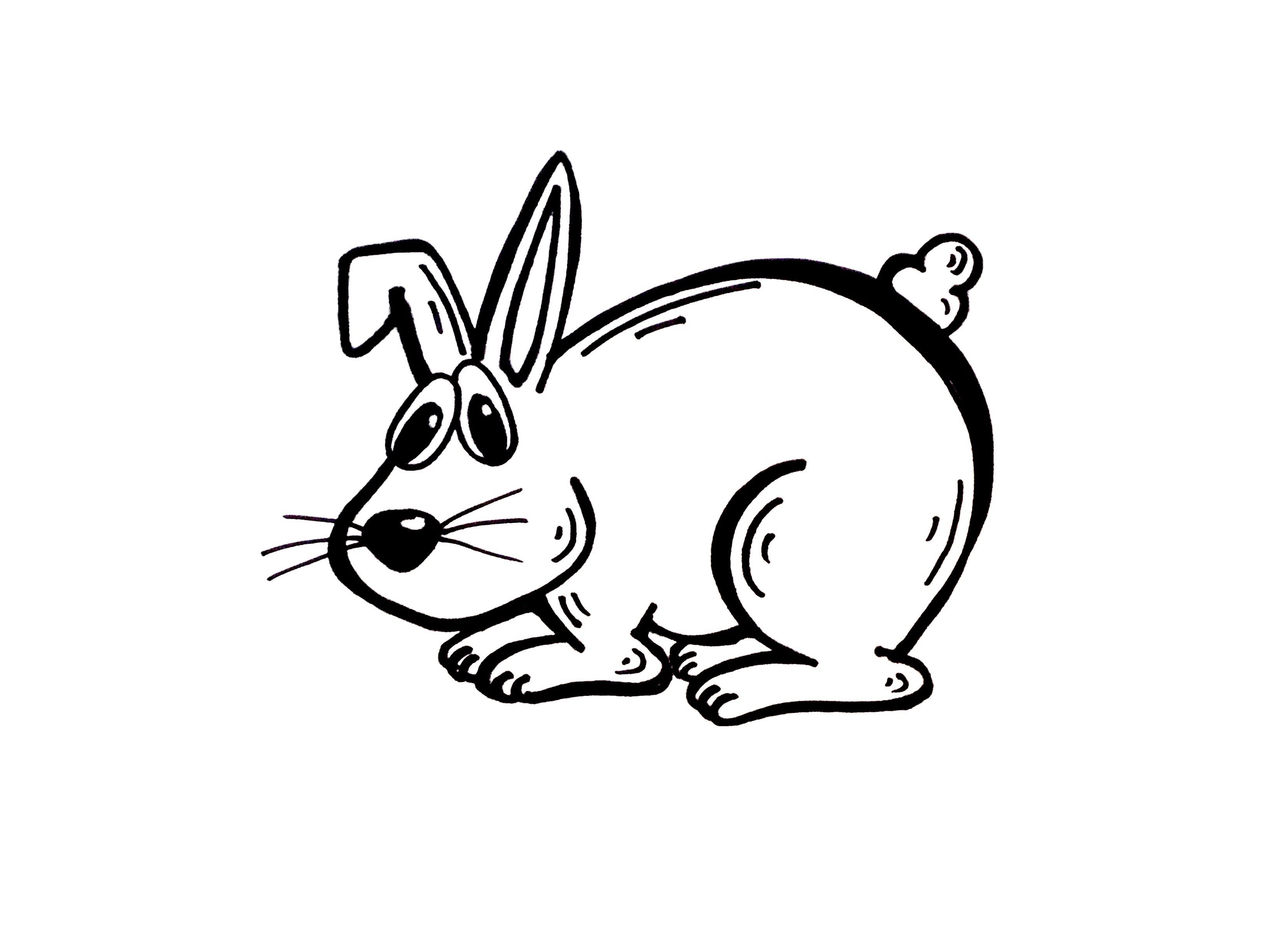 3264x2448 Drawing Lesson How To Draw A Rabbit Grab Paper And A Marker - Grab Drawing