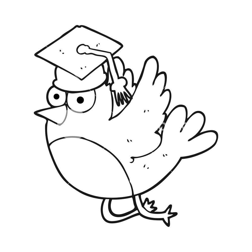 1000x1000 Freehand Drawn Black And White Cartoon Bird Wearing Graduation Cap - Grad Cap Drawing