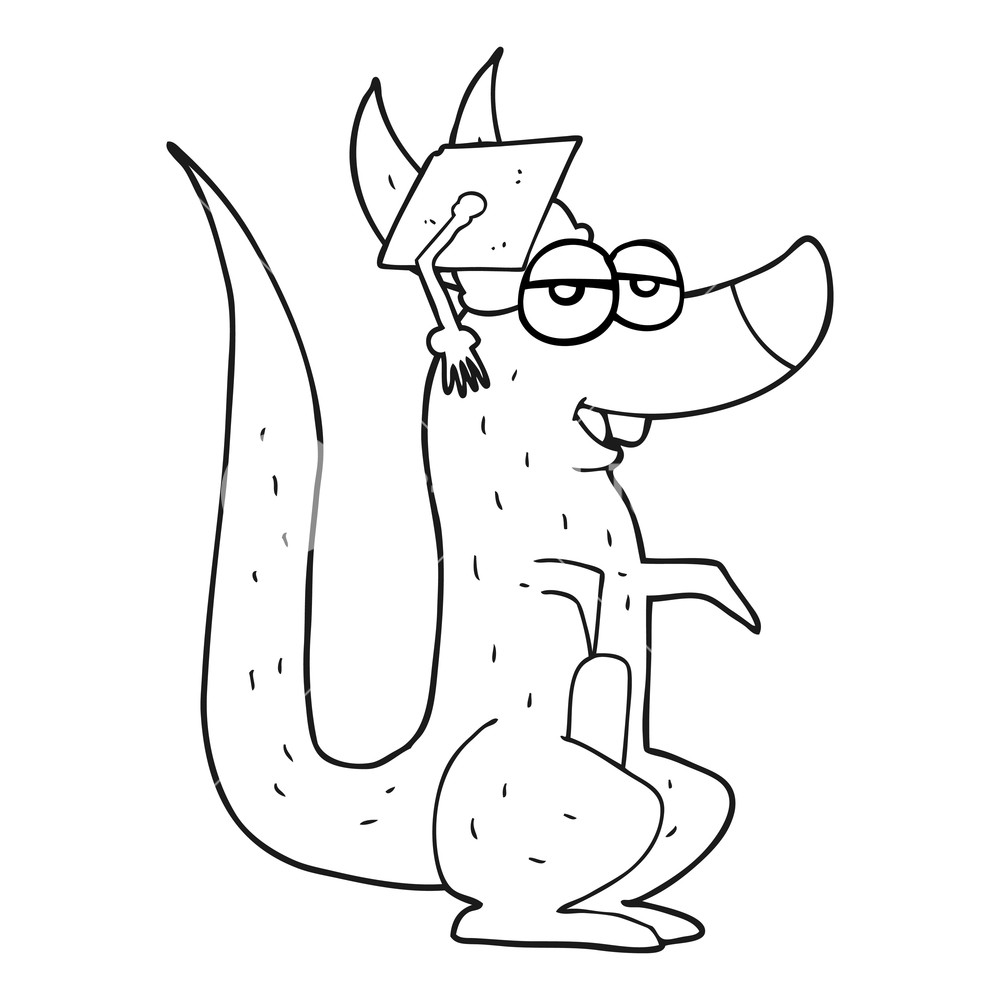 1000x1000 freehand drawn black and white cartoon kangaroo with graduation - Graduation Cap Drawing