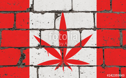 500x311 graffiti street art spray drawing on stencil cannabis leaf - Graffiti Brick Wall Drawing