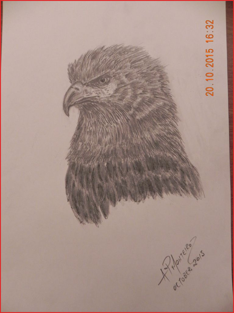 768x1024 How To Draw An Eagle Eagle Head Graffiti Pencil Drawing Art - Graffiti Pencil Drawing