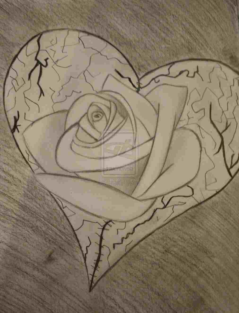 Graffiti Rose Drawing at Explore collection of