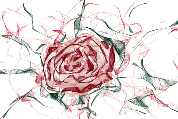 Rose A Graffiti Speedpaint Drawing - Graffiti Rose Drawing. 