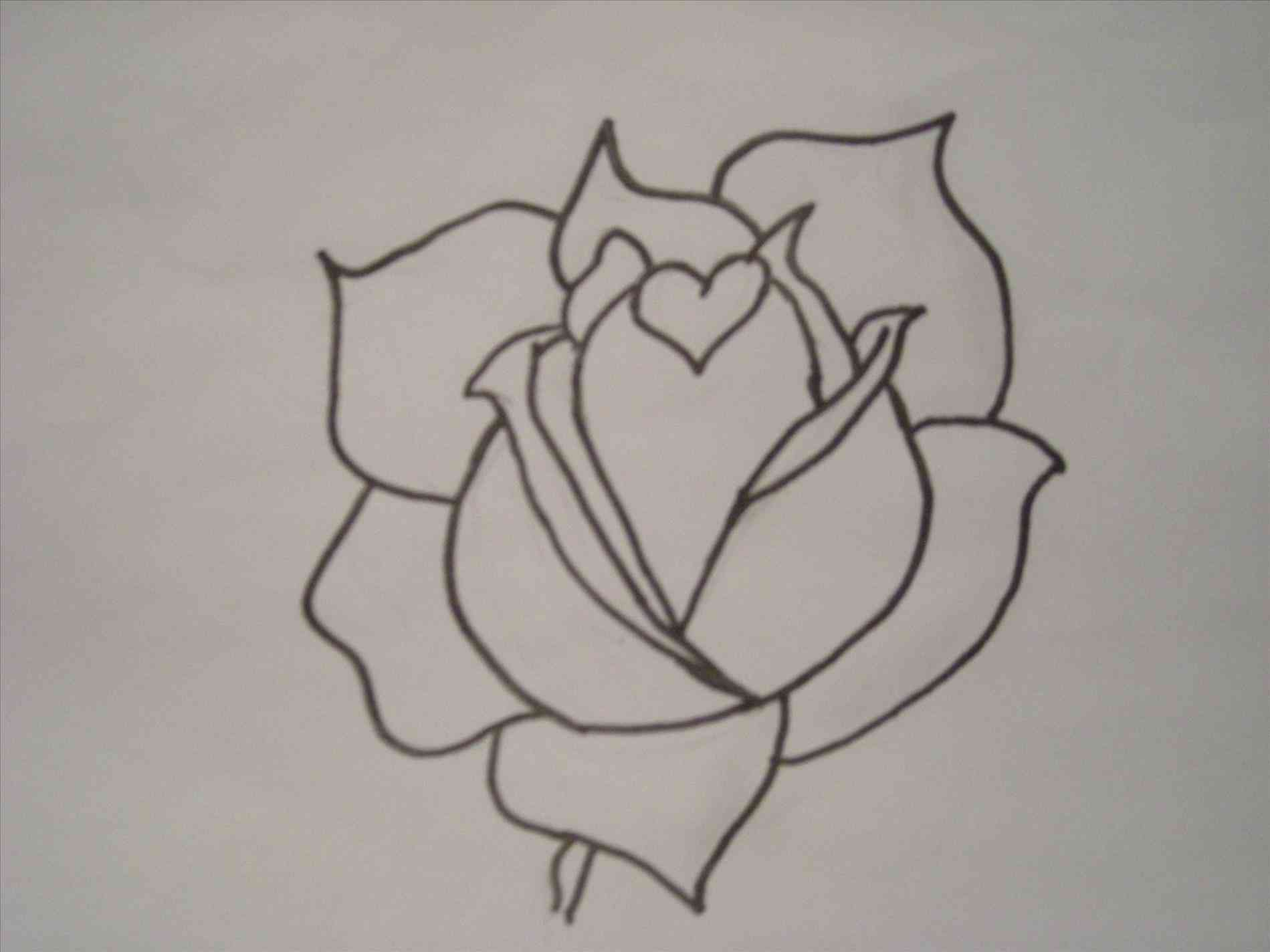 Сердечко и роза карандашом